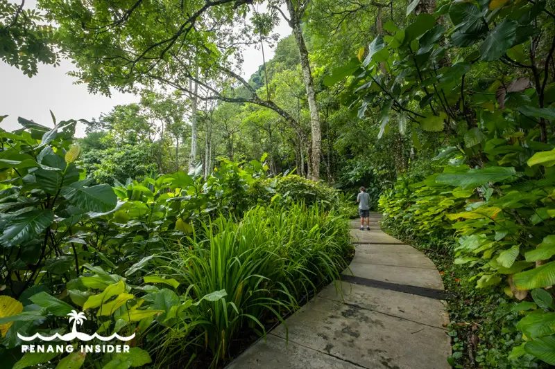 The Haven Ipoh jogging track