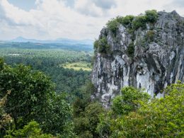 Paya Gunung Jerantut Pahang