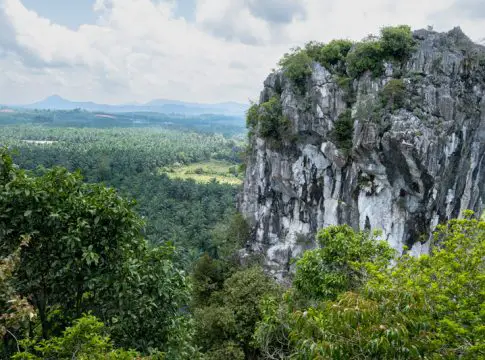 Paya Gunung Jerantut Pahang