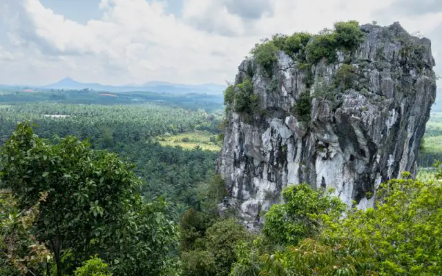 Paya Gunung Jerantut Pahang