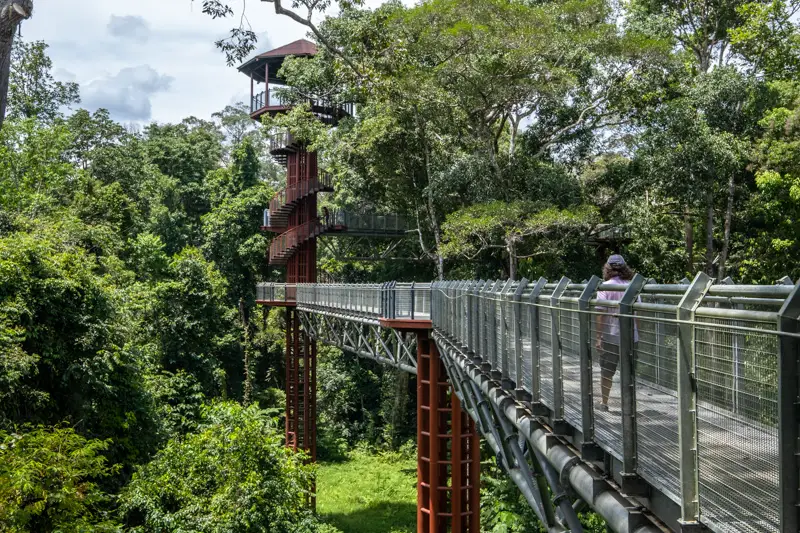 A bridge on Sungai Relau Treetop Walk 
