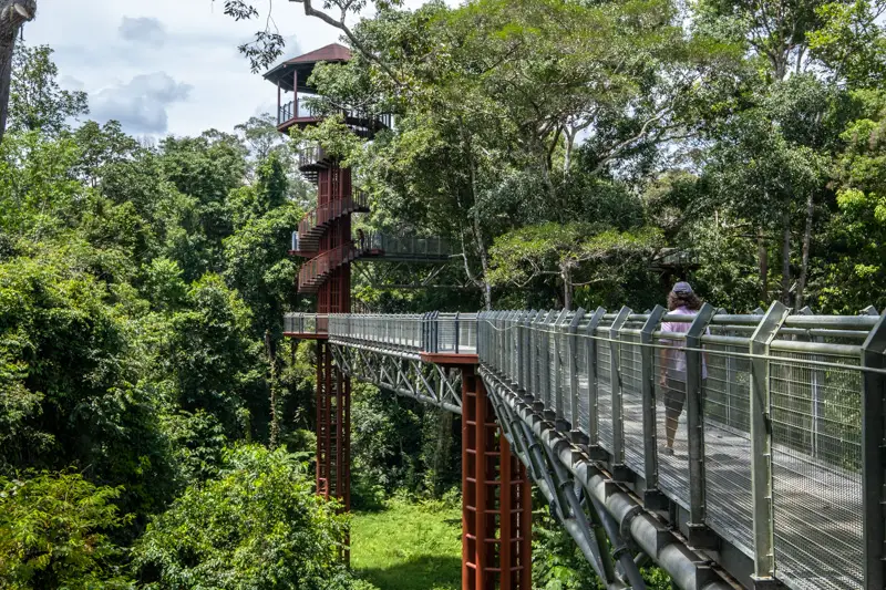 A bridge on Sungai Relau Treetop Walk