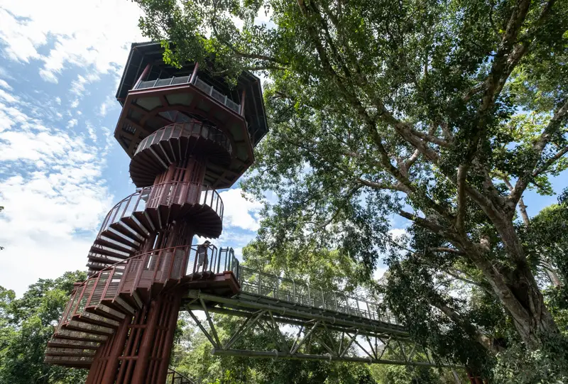 Menara Tahan, the highest point in Sungai Relau Treetop Walk