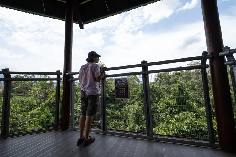 Marco enjoys the forest views from one of the Treetop Walk observation towers.