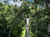 Treetop Walk Taman Negara Sungai Relau